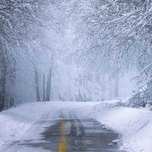 Winterreifen vs. Allwetterreifen - blog gmg online